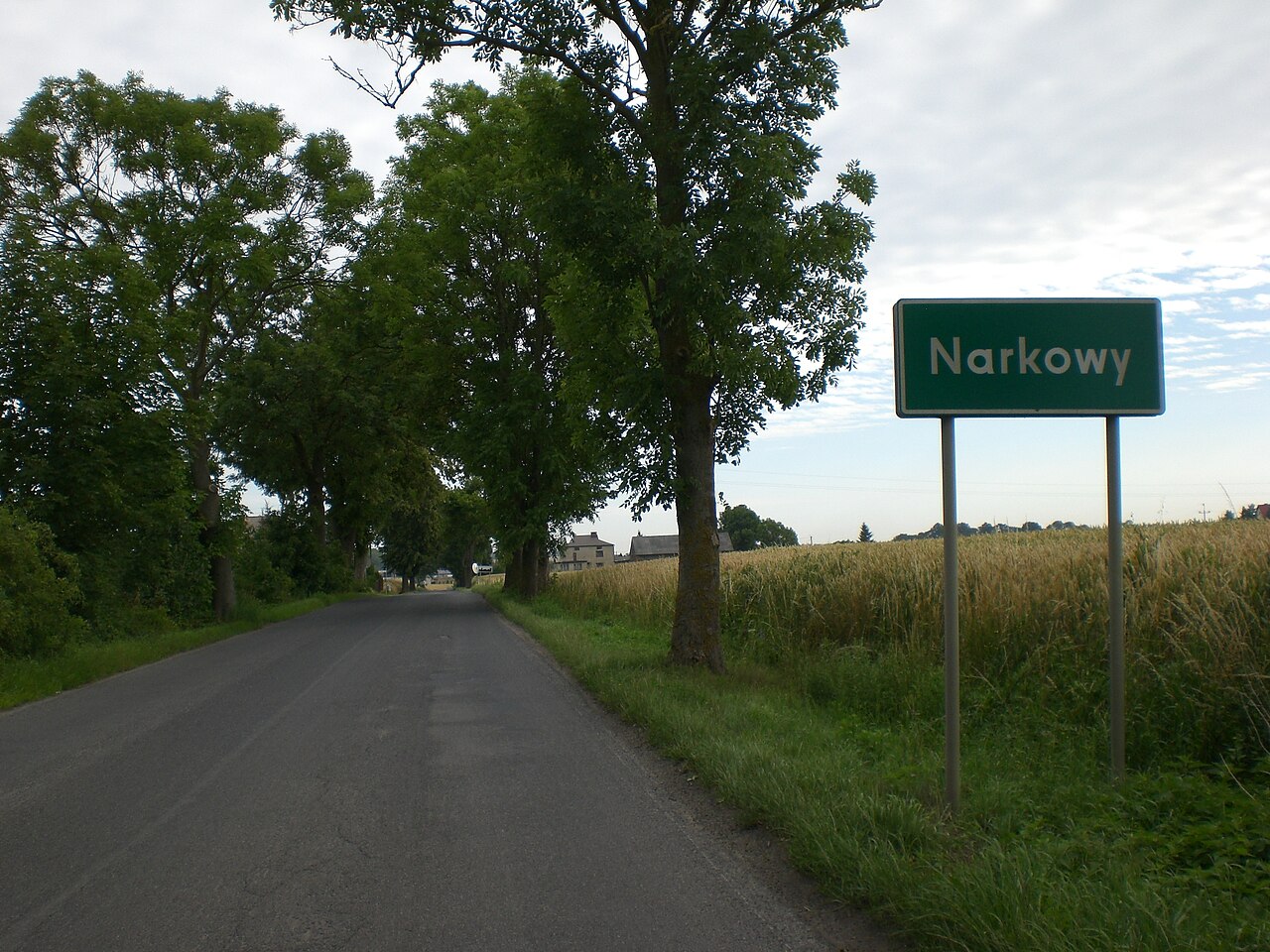 Narkowy – wieś kociewska z klasztorną przeszłością